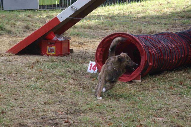 foire-haricots 2011-09-17et18